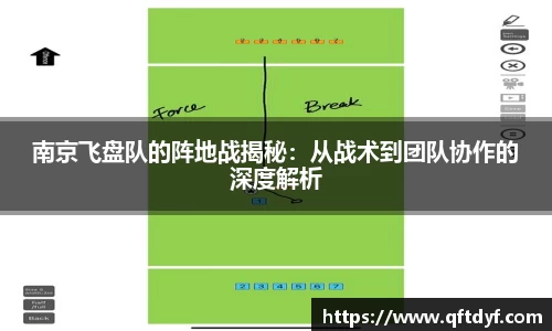 南京飞盘队的阵地战揭秘：从战术到团队协作的深度解析