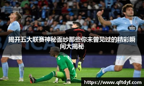 美嘉体育官网