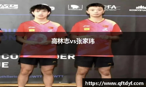 高林志vs张家玮