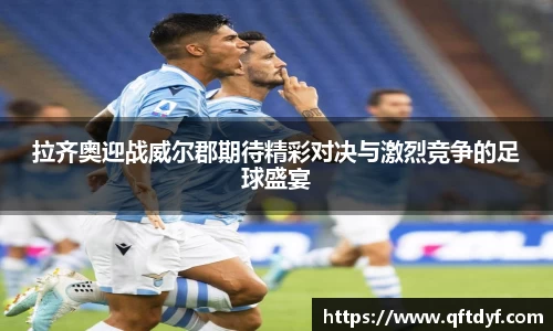 美嘉体育平台