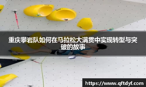 美嘉体育平台